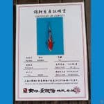 Dainichi Kohaku Sz 24cm