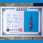 Showa Serti Sinoda 32cm