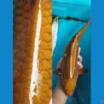 TEMBAGA 42CM