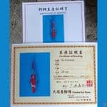 Dainichi Otsuka Kohaku Ai Koromo 25-26cm