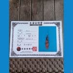 Sinoda Showa Sz 27cm