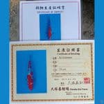 Dainichi Otsuka Kohaku Ai Koromo 23-31cm