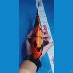Hi utsuri doitsu murni 30 cm