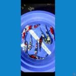 Showa Shiro 