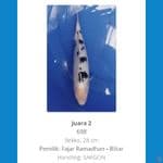 bekko 30 cm juara 2