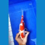 BT.8_ KOHAKU 27CM BETINA