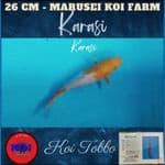 Karasi Import + Sertifikat