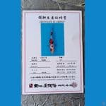Dainichi Sanke Sz 26cm