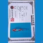 Sinoda Kohaku Doitsu Sz 25cm