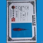 shinoda showa sz 14cm