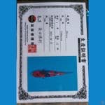 shinoda showa sz 14cm
