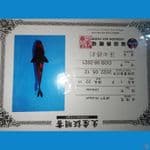 import hi-utsuri shinoda 25cm