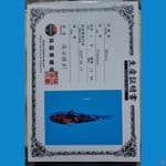 shinoda showa sz 16cm