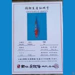 dainichi sz 25cm