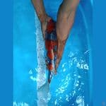 Goshiki racing 43 cm male_™✓