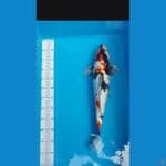 Showa F 45 bu