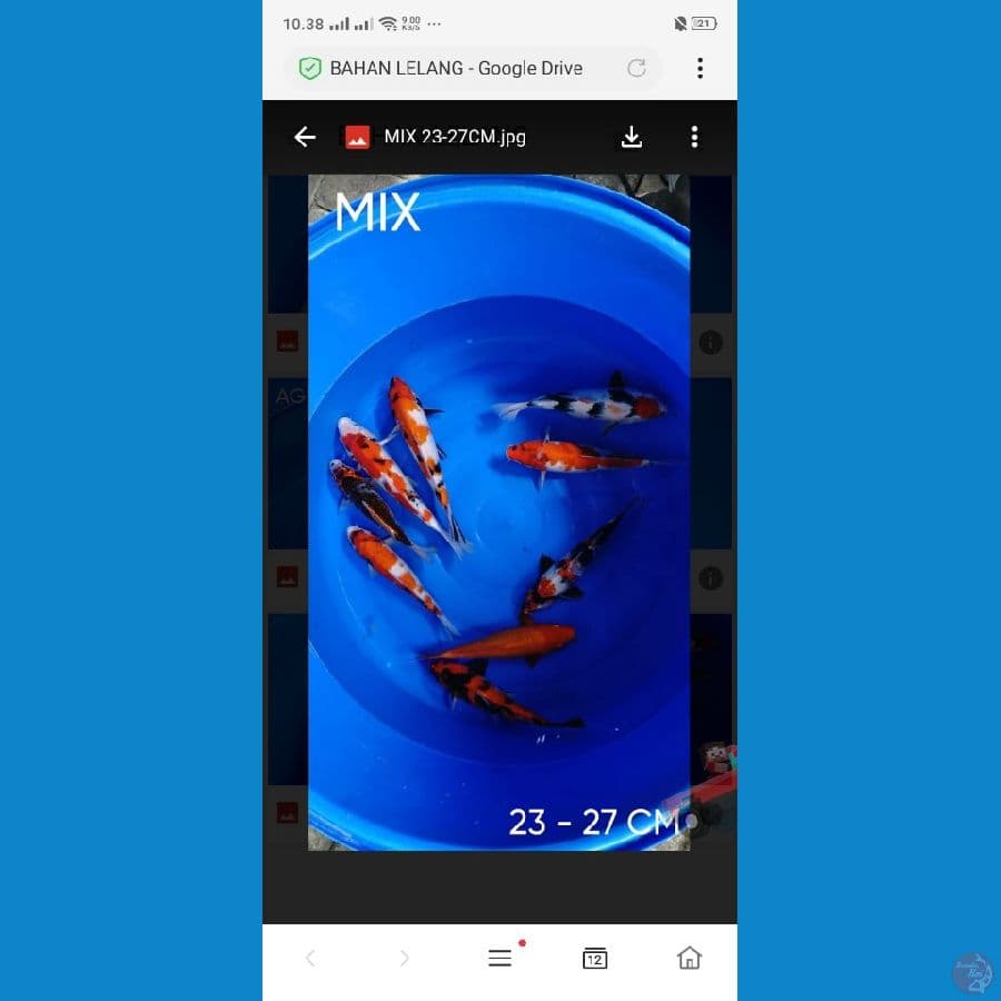 paket mix ukur23-27 istimewa