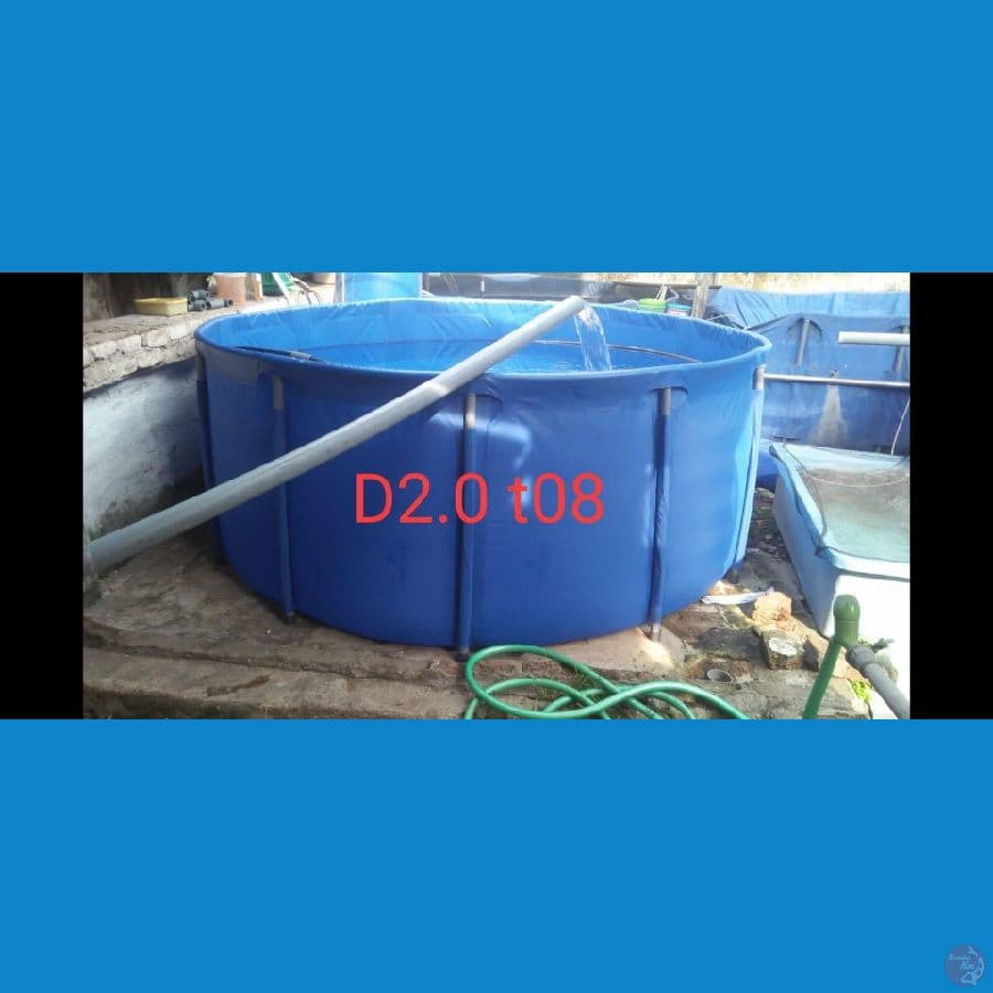 D2 t08