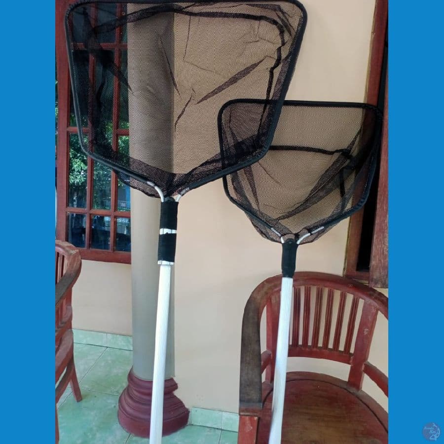 serok koi kotak 80cm