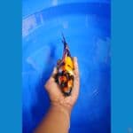 Showa Doitsu 24Cm
