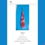 Kohaku 25 cm™✓