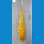 KARASI GINRIN 21 CM 