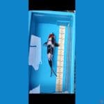 Tancho showa 38cm Male