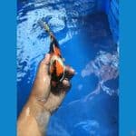SHOWA ORI 22cm