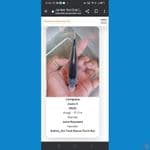 Asagi SQ 15cm. Prestasi