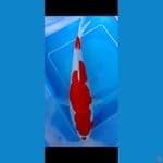 minions kohaku sz 20 cm 