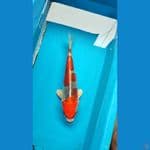 red gingga 35 cm 