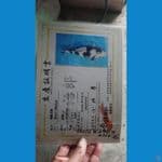 shiro sq putih salju serty genjiro