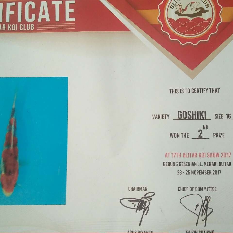 Goshiki 20cm