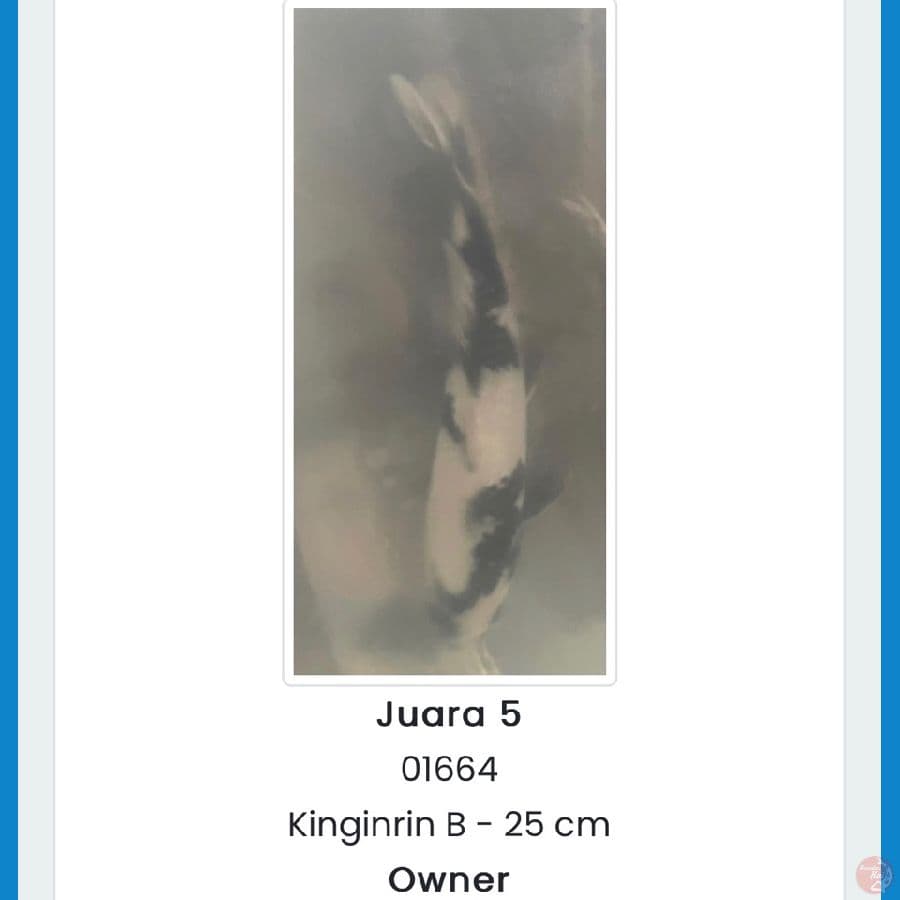 Shiro Ginrin Juara 5 karawang