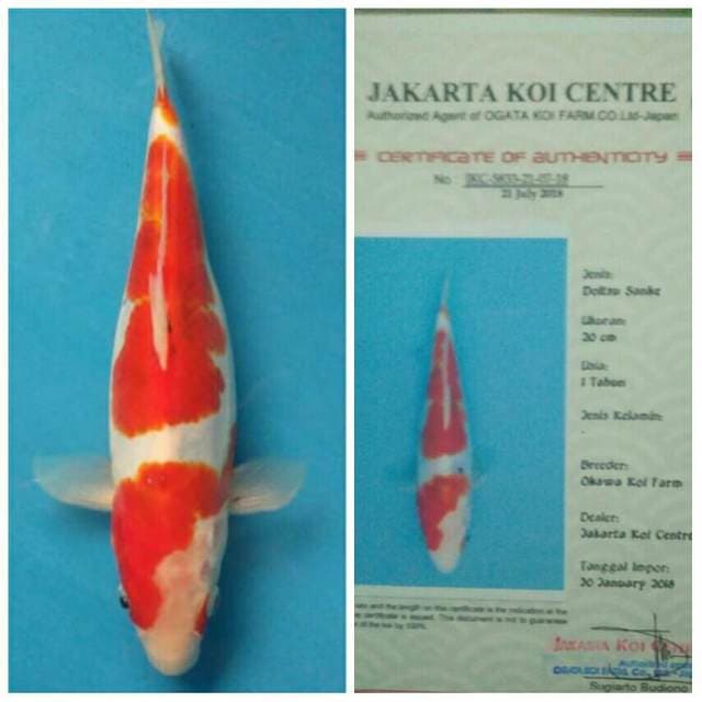 Okawa Sanke Doitsu