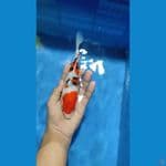 SANKE SQ ORi 18cm