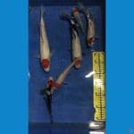 paket mix tancho ori 