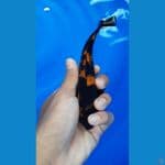 minion hiutsuri sz 15 cm