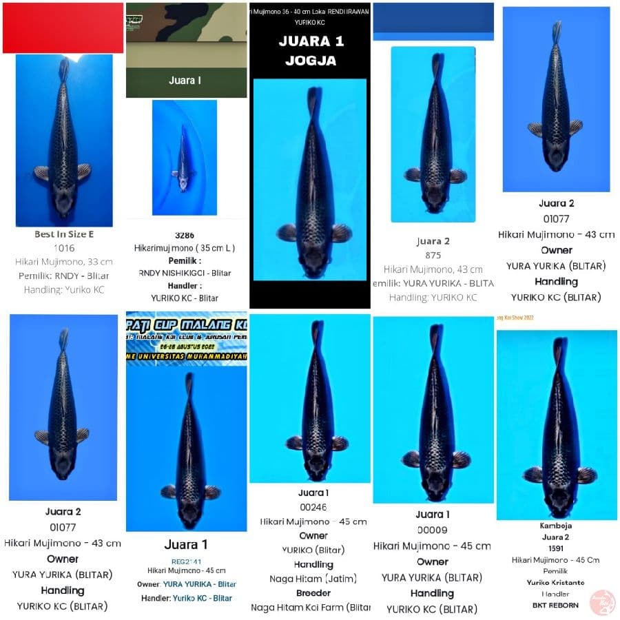 MUKASI 47CM SQ