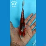 Kikokuryu Minion - 16cm