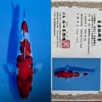 SHOWA GINRIN TANIGUCHI 17 CM