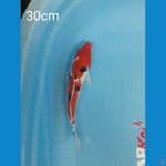 Sanke 30 cm