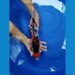 sanke rasa showa jantan 34 cm