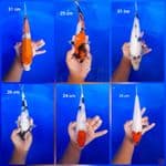 paket mix