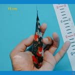 15 cm
