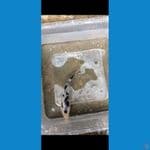 BEKKO QUALITY 12CM