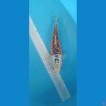 Shusui 34cm