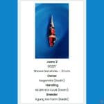 SHOWA Breeder AKF Serti Madiun Koi Show 2023