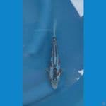 Shusui SQ 17cm import kawakami