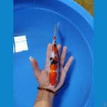 22 cm SANKE